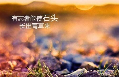 做微商賺不到錢？你是不是犯了這個(gè)錯(cuò)誤(圖1)