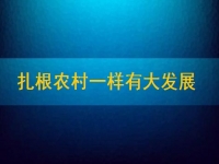 在家能做的兼職正規(guī)可靠，扎根農(nóng)村一樣有大發(fā)展