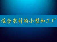 適合農(nóng)村的小型加工廠，月入2萬不算多，你有時(shí)間也能做