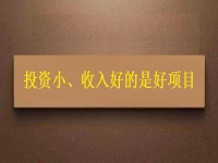 投資這么小，為什么收入?yún)s能這樣好？這個(gè)拿回家做的手工項(xiàng)目給出了答案