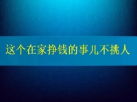 這個(gè)在家掙錢的事兒不挑人，2024要掙錢，你我就靠它了