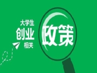 大學生輕資產(chǎn)創(chuàng)業(yè)，做手工傳承官,讓優(yōu)勢更有優(yōu)勢