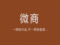 給你一點(diǎn)啟發(fā)，淺談微商的價(jià)值